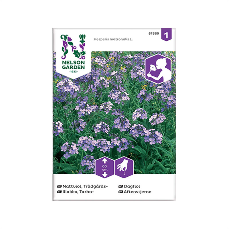 Nelson Garden Frøpose Dagfiol, Violett