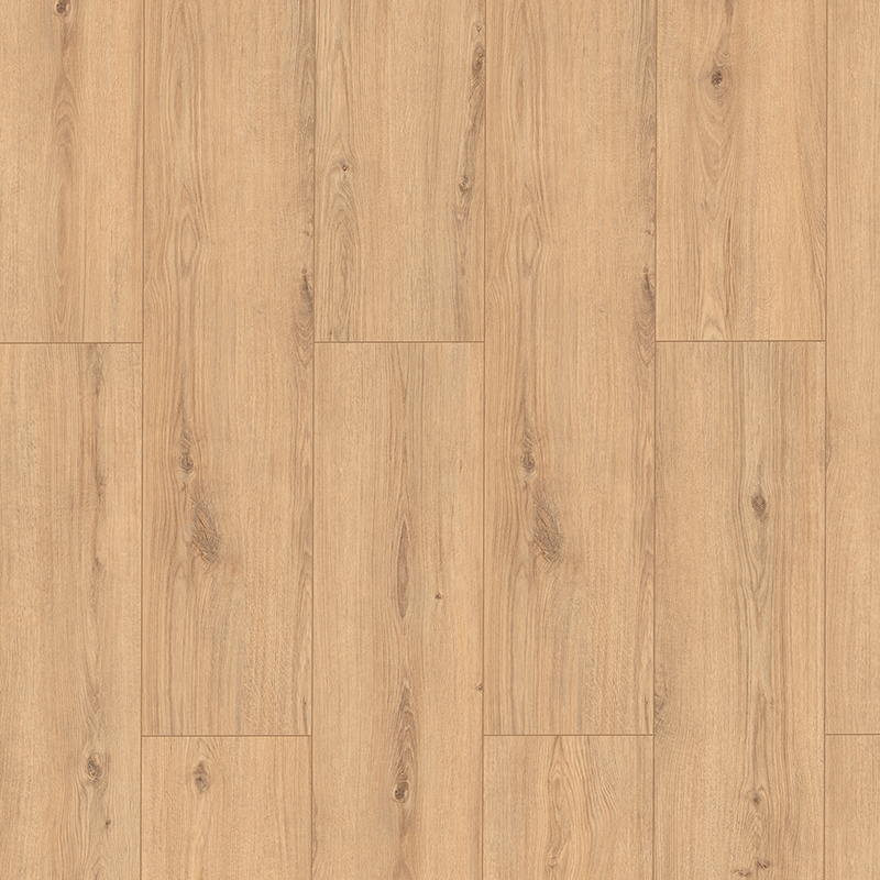 Classen Gulvprøve Laminatgulv Uberwood Authentic Beige Oak 9mm 30x24 Cm
