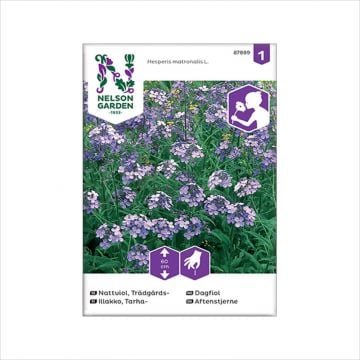 Frøpose dagfiol, violett