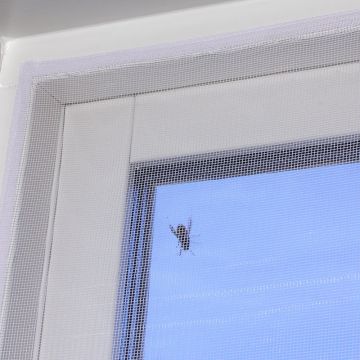 Myggnetting