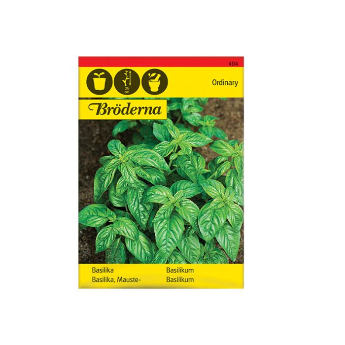 frøpose basilika-, grøn