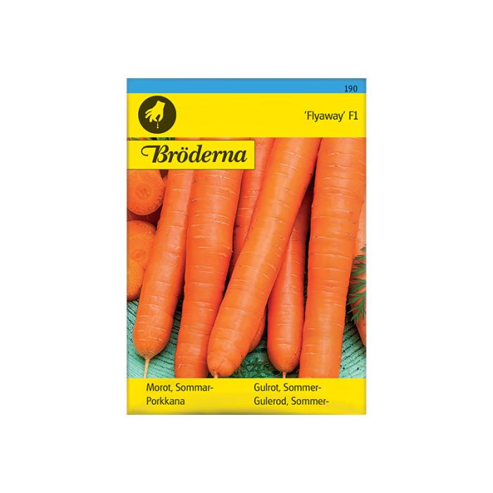 frøpose gulrot sommer-, flyaway f1