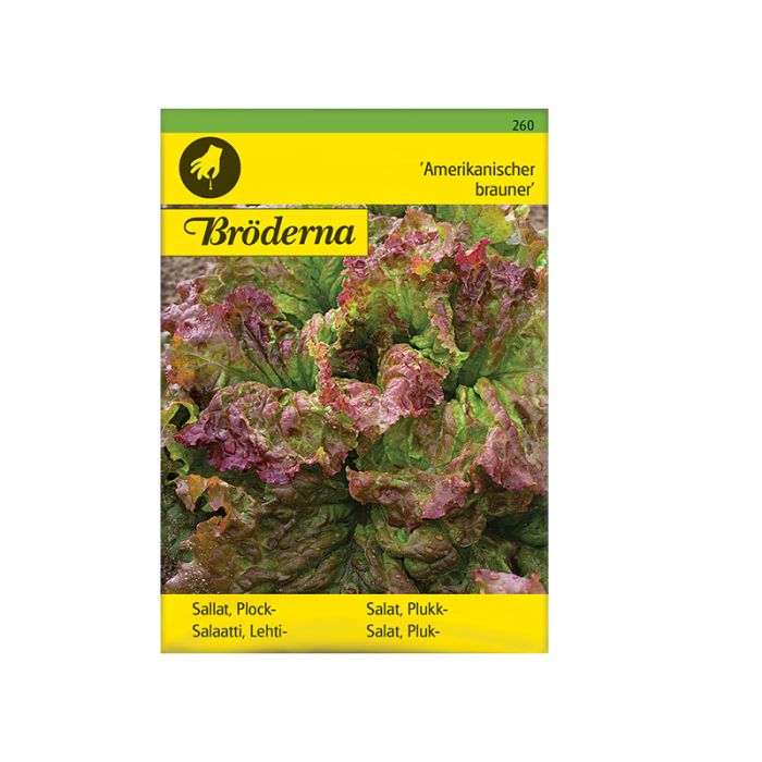 frøpose sallad plock-, amerikanscher
