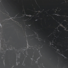 FLISEPRØVE NIGHT ELF POLISHED 60X60