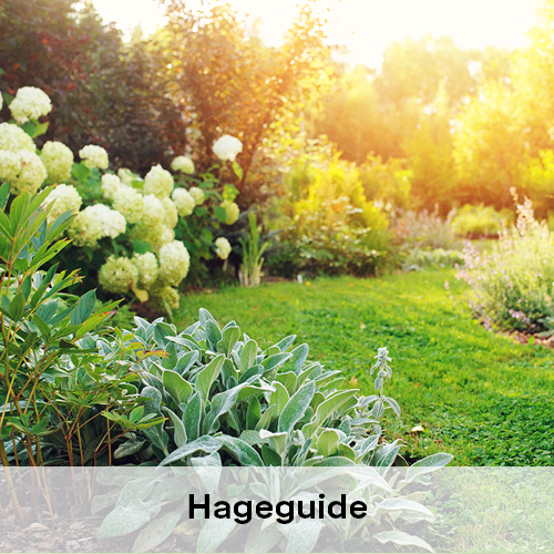 Hageguide | Byggmax