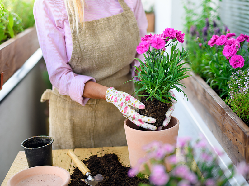 La balkongen blomstre | Byggmax La balkongen blomstre | Byggmax