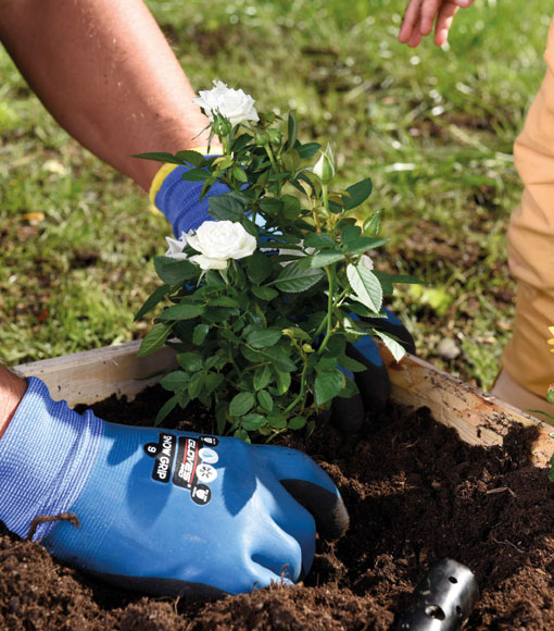 Anlegge blomsterbed | Byggmax